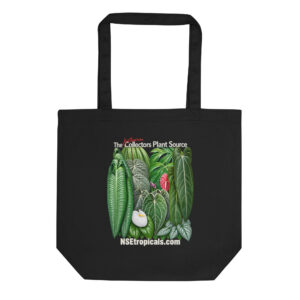 NSE Tropicals Eco Tote Bag